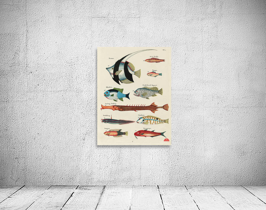 Colourful and surreal illustrations of fishes found in Moluccas Indonesia and the East Indies by Louis Renard 1678 -1746 from Histoire naturelle des plus rares curiositez de la mer des Indes 1754. Wall Preview