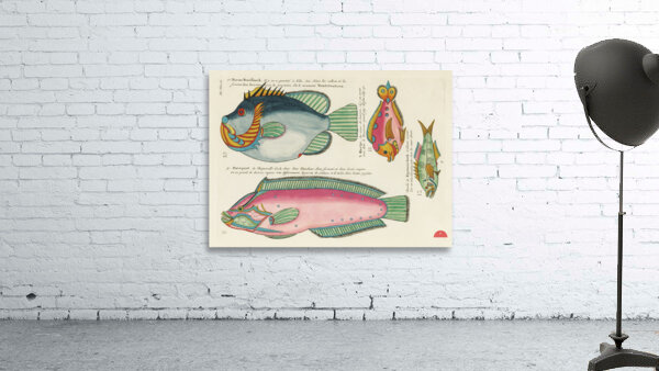 Colourful and surreal illustrations of fishes found in Moluccas Indonesia and the East Indies by Louis Renard 1678 -1746 from Histoire naturelle des plus rares curiositez de la mer des Indes 1754. Wall Preview