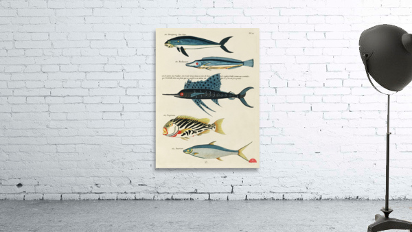 Colourful and surreal illustrations of fishes found in Moluccas Indonesia and the East Indies by Louis Renard 1678 -1746 from Histoire naturelle des plus rares curiositez de la mer des Indes 1754. Wall Preview