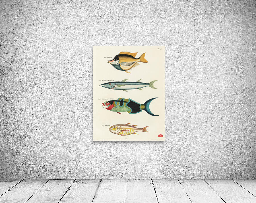 Colourful and surreal illustrations of fishes found in Moluccas Indonesia and the East Indies by Louis Renard 1678 -1746 from Histoire naturelle des plus rares curiositez de la mer des Indes 1754. Wall Preview