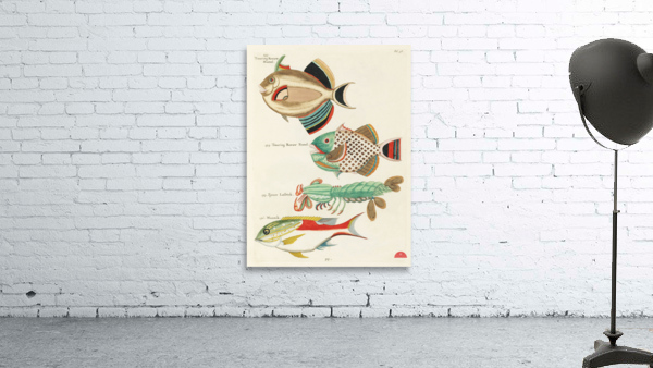 Colourful and surreal illustrations of fishes found in Moluccas Indonesia and the East Indies by Louis Renard 1678 -1746 from Histoire naturelle des plus rares curiositez de la mer des Indes 1754. Wall Preview