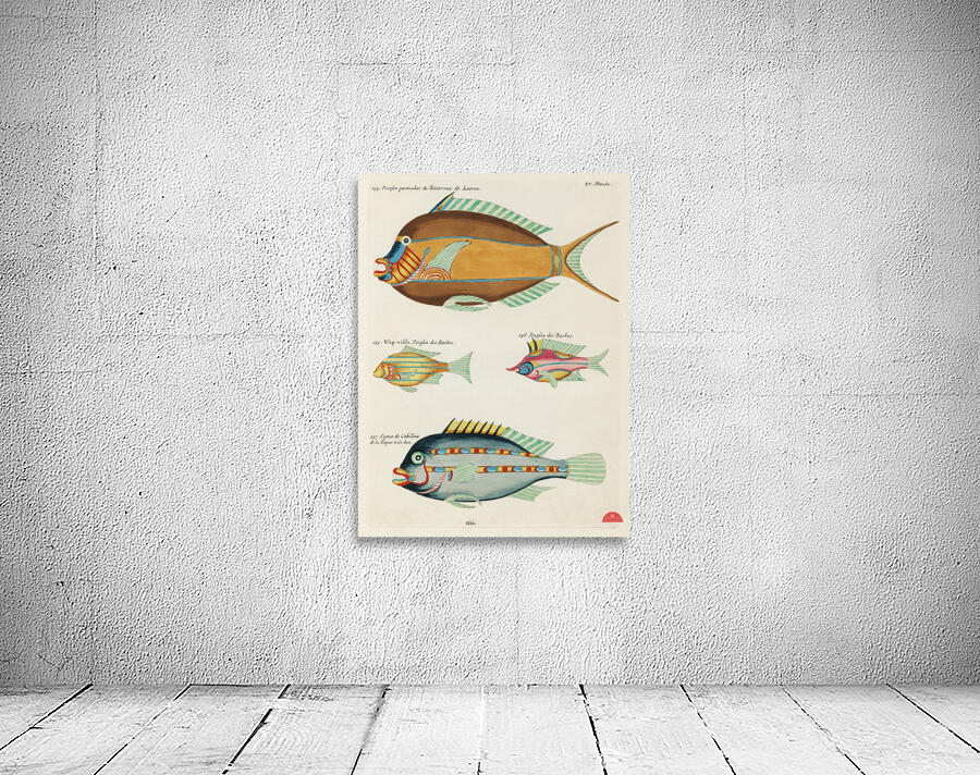 Colourful and surreal illustrations of fishes found in Moluccas Indonesia and the East Indies by Louis Renard 1678 -1746 from Histoire naturelle des plus rares curiositez de la mer des Indes 1754. Wall Preview