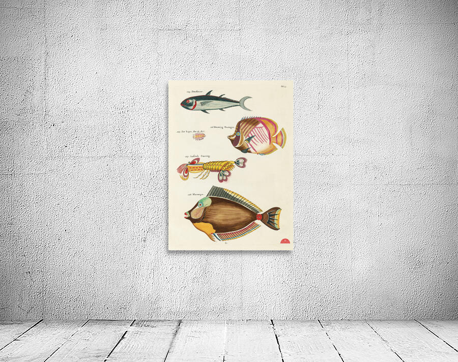 Colourful and surreal illustrations of fishes and lobster found in Moluccas Indonesia and the East Indies by Louis Renard 1678 -1746 from Histoire naturelle des plus rares curiositez de la mer des Indes 1754. Wall Preview