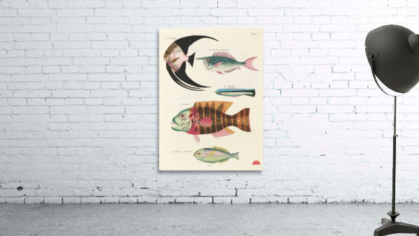 Colourful and surreal illustrations of fishes found in Moluccas Indonesia and the East Indies by Louis Renard 1678 -1746 from Histoire naturelle des plus rares curiositez de la mer des Indes 1754. Wall Preview