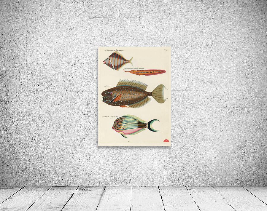 Colourful and surreal illustrations of fishes found in Moluccas Indonesia and the East Indies by Louis Renard 1678 -1746 from Histoire naturelle des plus rares curiositez de la mer des Indes 1754. Wall Preview