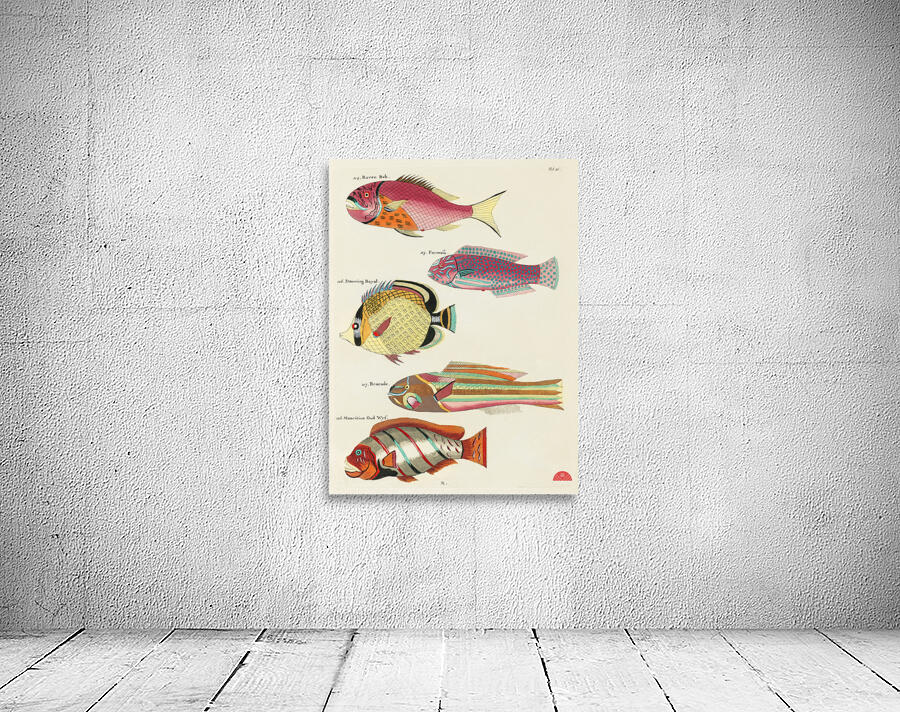 Colourful and surreal illustrations of fishes found in Moluccas Indonesia and the East Indies by Louis Renard 1678 -1746 from Histoire naturelle des plus rares curiositez de la mer des Indes 1754. Wall Preview