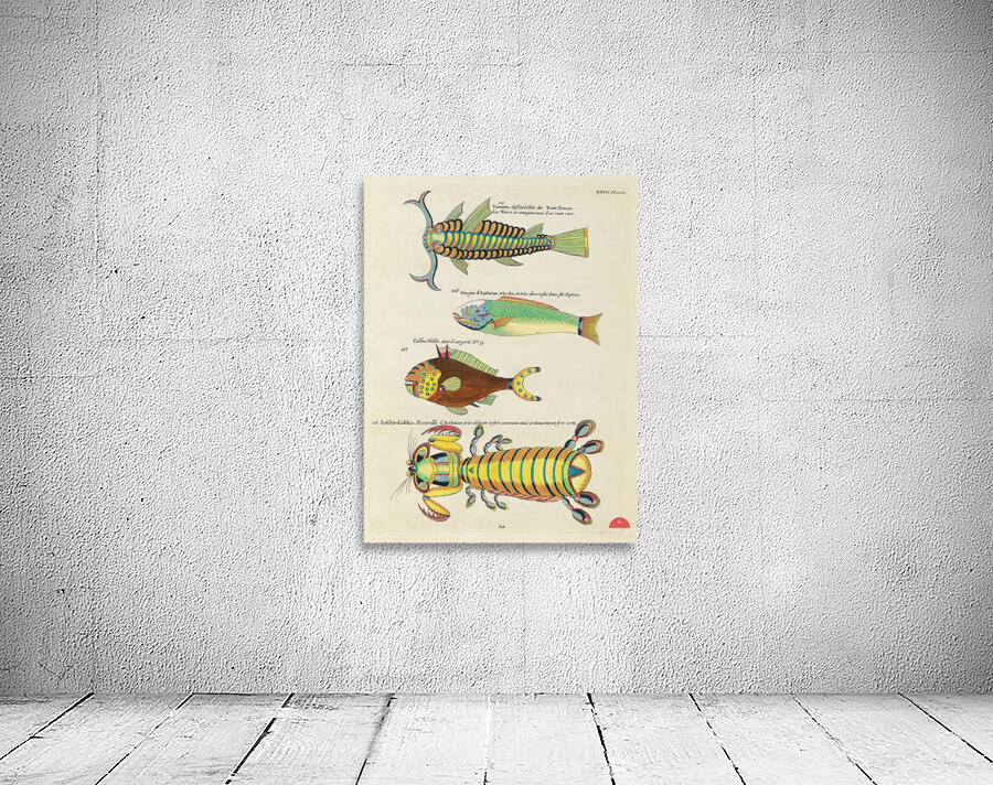 Colourful and surreal illustrations of fishes and other marine life found in Moluccas Indonesia and the East Indies by Louis Renard 1678 -1746 from Histoire naturelle des plus rares curiositez de la mer des Indes 1754. Wall Preview
