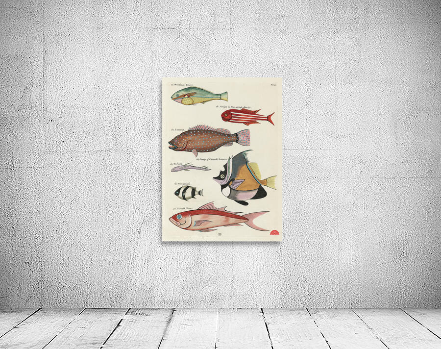 Colourful and surreal illustrations of fishes found in Moluccas Indonesia and the East Indies by Louis Renard 1678 -1746 from Histoire naturelle des plus rares curiositez de la mer des Indes 1754. Wall Preview