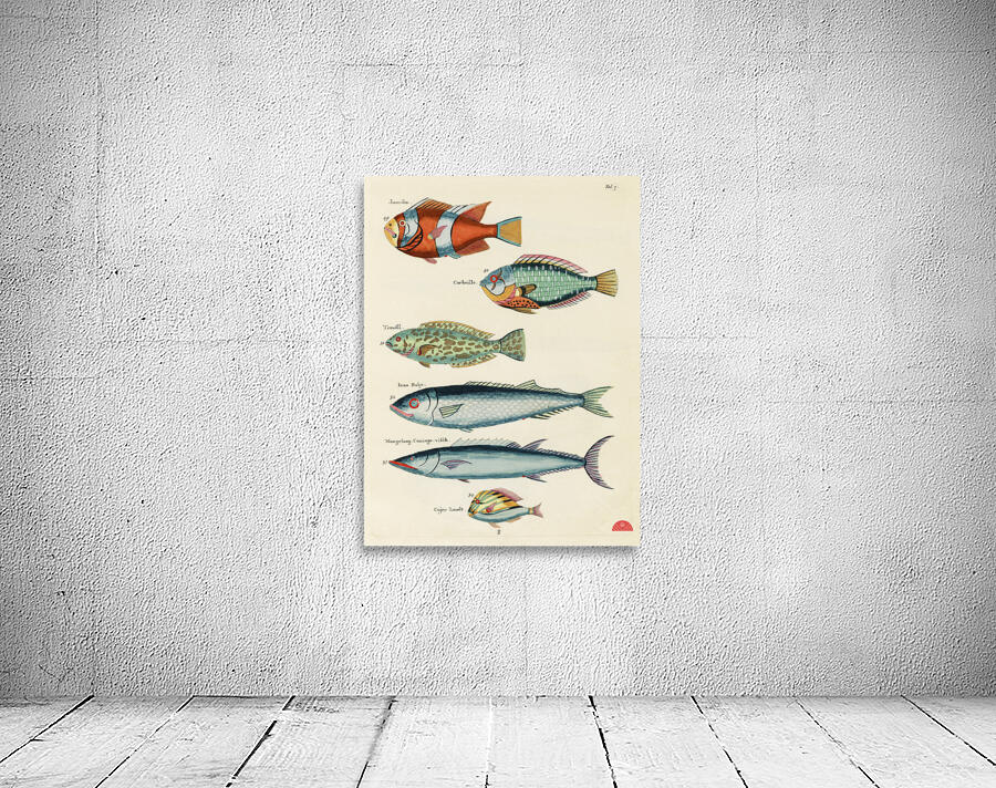 Colourful and surreal illustrations of fishes found in Moluccas Indonesia and the East Indies by Louis Renard 1678 -1746 from Histoire naturelle des plus rares curiositez de la mer des Indes 1754. Wall Preview