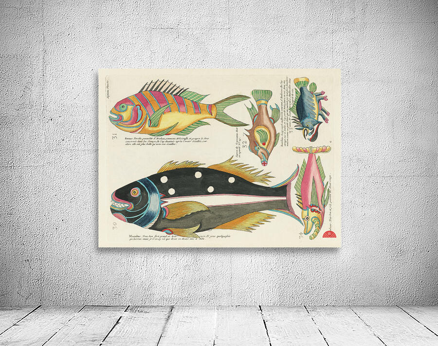 Colourful and surreal illustrations of fishes found in Moluccas Indonesia and the East Indies by Louis Renard 1678 -1746 from Histoire naturelle des plus rares curiositez de la mer des Indes 1754. Wall Preview