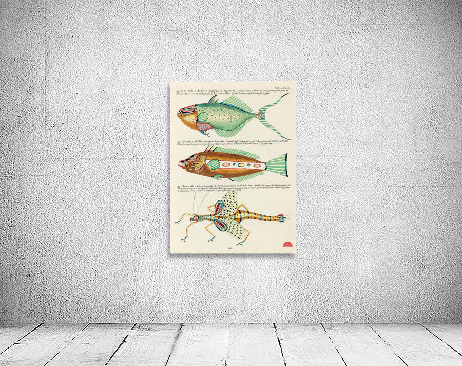 Colourful and surreal illustrations of fishes found in Moluccas Indonesia and the East Indies by Louis Renard 1678 -1746 from Histoire naturelle des plus rares curiositez de la mer des Indes 1754. Wall Preview