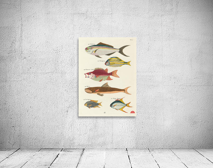 Colourful and surreal illustrations of fishes found in Moluccas Indonesia and the East Indies by Louis Renard 1678 -1746 from Histoire naturelle des plus rares curiositez de la mer des Indes 1754. Wall Preview