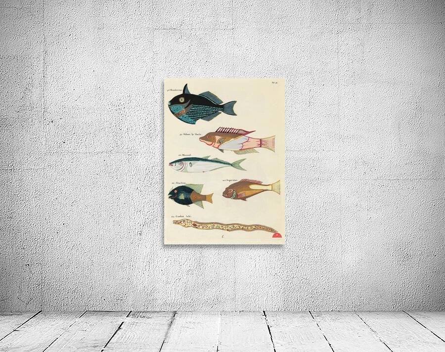 Colourful and surreal illustrations of fishes found in Moluccas Indonesia and the East Indies by Louis Renard 1678 -1746 from Histoire naturelle des plus rares curiositez de la mer des Indes 1754. Wall Preview