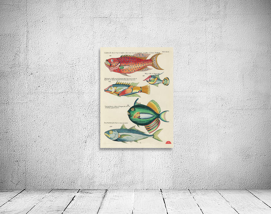 Colourful and surreal illustrations of fishes found in Moluccas Indonesia and the East Indies by Louis Renard 1678 -1746 from Histoire naturelle des plus rares curiositez de la mer des Indes 1754. Wall Preview
