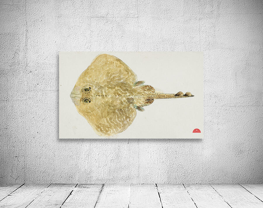 Antique fish sardinops neopilchardus pilchard South Pacific Fishes by Frank Edward Clarke 1849-1899.  Wall Preview