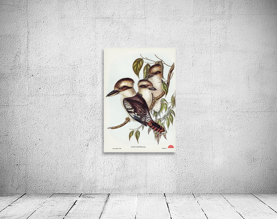 Great Brown Kingfisher Dacelo gigantic illustrated by Elizabeth Gould 1804–1841 for John Gould’s 1804-1881 Birds of Australia  Wall Preview