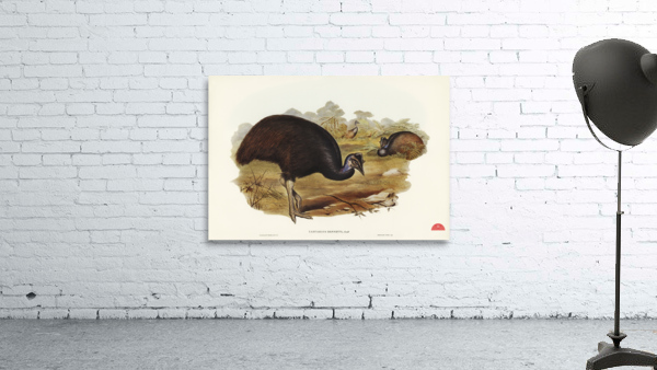 Chestnut-breasted Cuckoo Cacomantis castaneiventris illustrated by Elizabeth Gould 1804–1841 for John Gould’s 1804-1881 Birds of Australia  Wall Preview