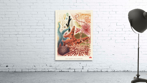 Great Barrier Reef Echinoderms from The Great Barrier Reef of Australia 1893 by William Saville-Kent 1845-1908. Fig 1: Isis HippurisFig 2: Queensland black coral Antipathes abiesFig 3: Ctenocella PectinataFig 4: Gorgonia AustraliensisFig 5: Melitodes Wall Preview