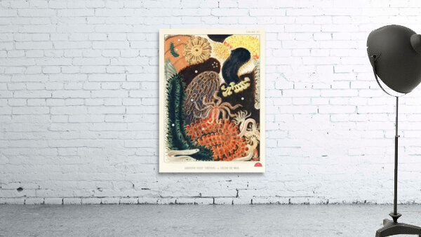 Barrier Reef Trepang or Bêche-de-Mer from The Great Barrier Reef of Australia 1893 by William Saville-Kent 1845-1908. Fig 1-2: Red fish Actinopyga obesaFig 3: Green Prickly-fish Stichopus ChloronotusFig 4: Colochirus AncepsFig 5: Holothurisa ColuberF Wall Preview