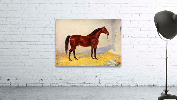 Cleveland Bay Stallion Sultan Frank Babbage English 1858–1916 Wall Preview