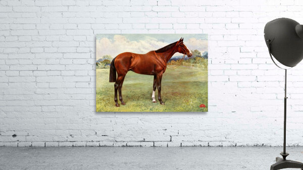 Spearmint Wall Preview