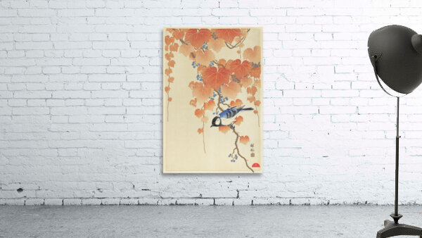 Great tit on paulownia branch 1925 - 1936 by Ohara Koson 1877-1945. Wall Preview