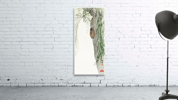Cicada on tree 1900 - 1936 by Ohara Koson 1877-1945. Wall Preview