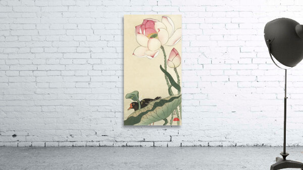 Gallinule with Lotus Flowers 1900 - 1930 by Ohara Koson 1877-1945. Wall Preview