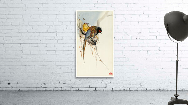 Pheasant couple and plum blossom 1900 - 1930 by Ohara Koson 1877-1945. Wall Preview