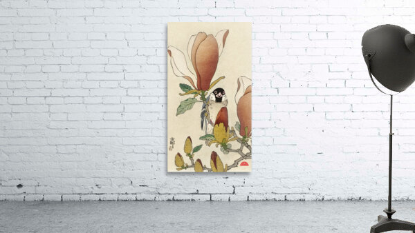Sparrow on blooming magnolia branch 1900 - 1930 by Ohara Koson 1877-1945. Wall Preview