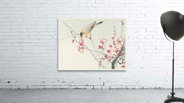 Songbird on blossom branch 1900 - 1936 by Ohara Koson 1877-1945. Wall Preview