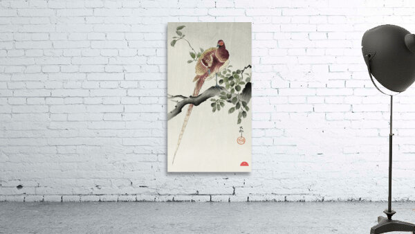 Copper pheasant 1900 - 1930 by Ohara Koson 1877-1945. Wall Preview