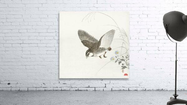Flying quail 1900 - 1930 by Ohara Koson 1877-1945. Wall Preview