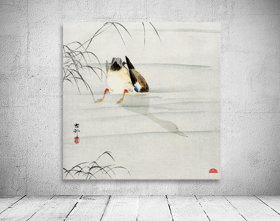 Mallard the head under water 1900 - 1930 by Ohara Koson 1877-1945. Wall Preview