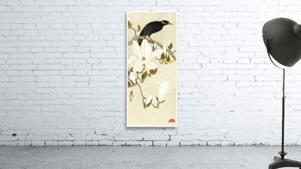 Myna on Magnolia Branch 1900 - 1910 by Ohara Koson 1877-1945. Wall Preview