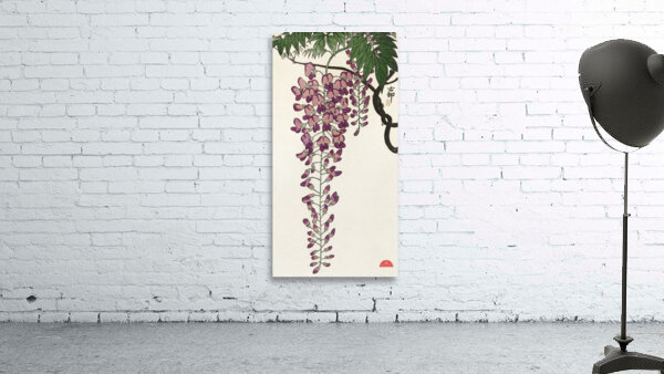 Blooming wisteria 1900 - 1930 by Ohara Koson1877-1945. Wall Preview