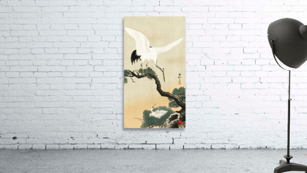 Japanese crane bird on branch of pine 1900 - 1930 by Ohara Koson 1877-1945. Wall Preview