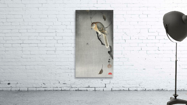 Buffalo wing shrike and spider 1900 - 1930 by Ohara Koson 1877-1945. Wall Preview