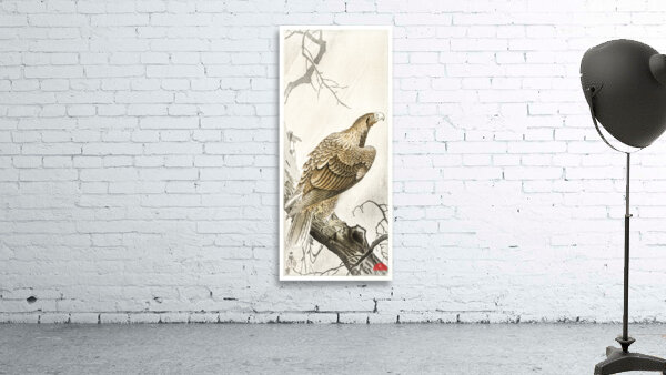 Eagle on tree branch 1900 - 1910 by Ohara Koson 1877-1945. Wall Preview