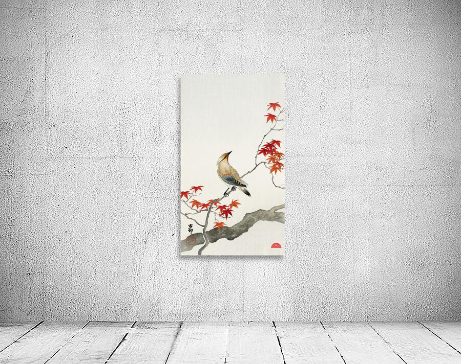 Japanese plague bird on maple 1900 - 1936 by Ohara Koson 1877-1945. Wall Preview