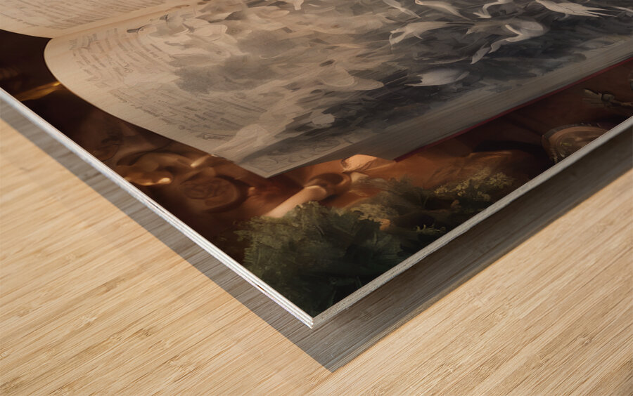 Fabled Illusion Book By ISHISH Wood print