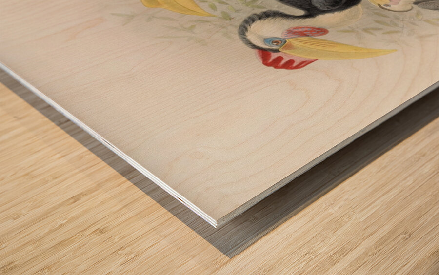 Cranorrhinus corrugatus 1882 Wood print