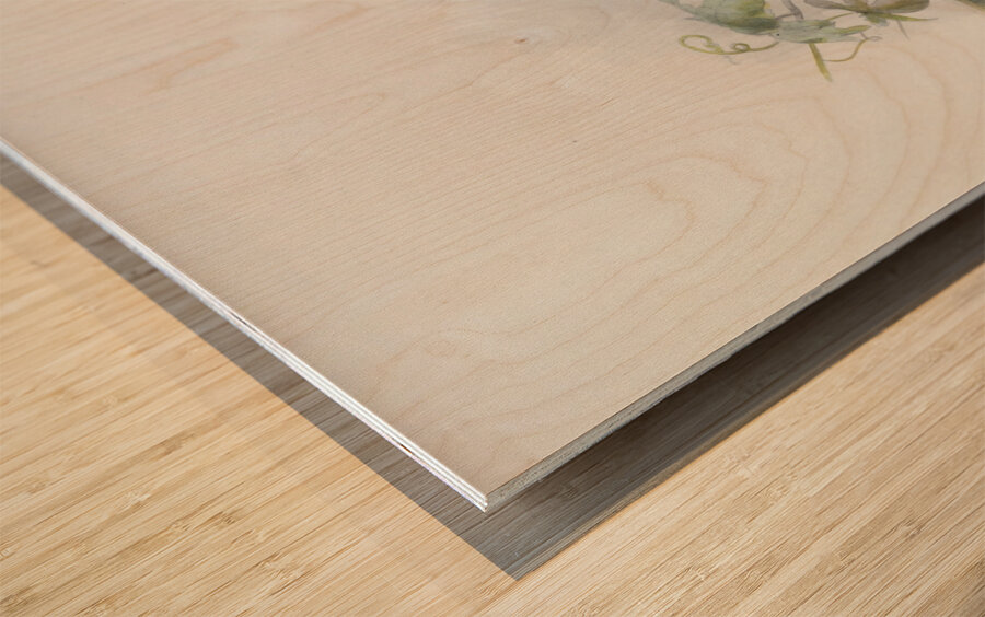 Cranorrhinus waldeni 1882 Wood print