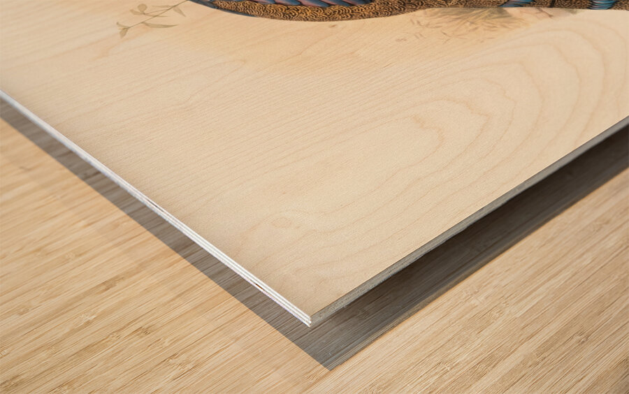 Polyplectron emphanum. 1872 Wood print