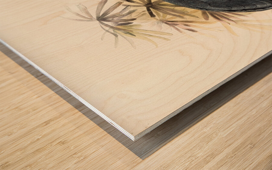 Agelastes meleagrides. 1872 Wood print