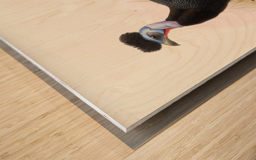 Numida cristata. 1872 Wood print