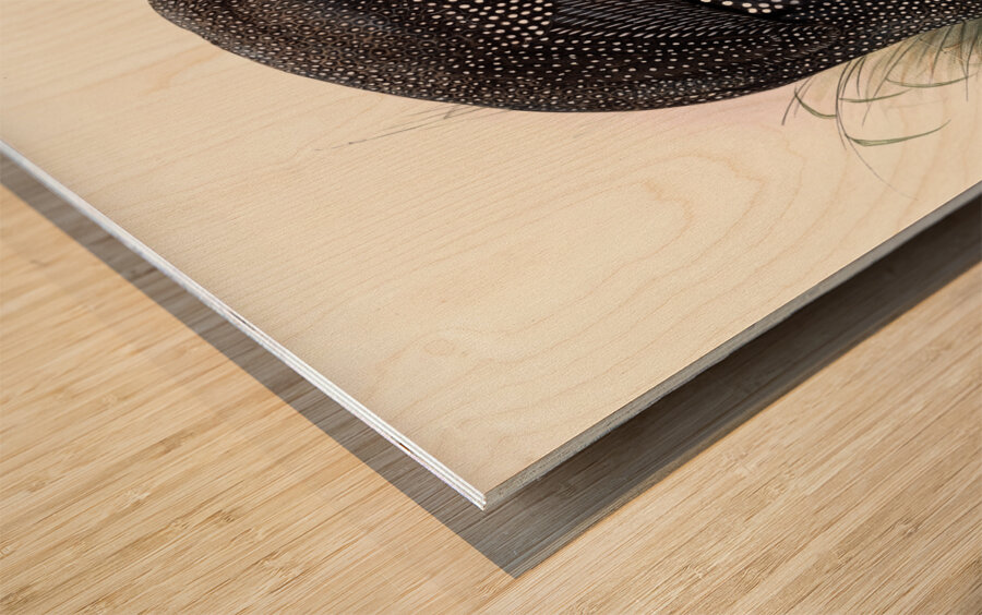 Numida meleagris. 1872 Wood print