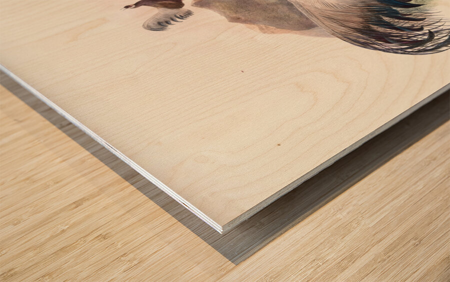 Crossoptilon mantchuricum. 1872 Wood print