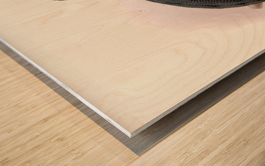 Numida Pucherani. 1872 Wood print