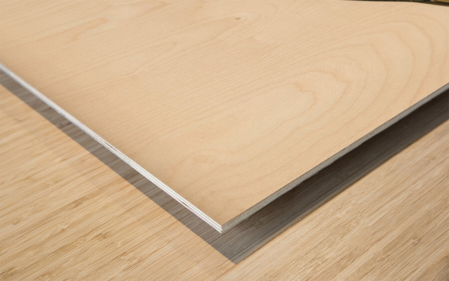 Redwing-Song thrush Turdus usicus Wood print